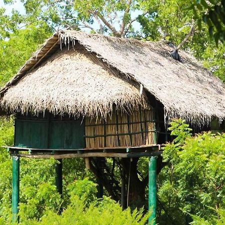 Отель Yala Beddegama Eco Катарагама Экстерьер фото