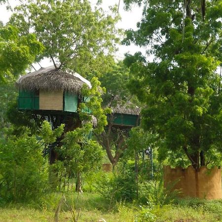 Отель Yala Beddegama Eco Катарагама Экстерьер фото