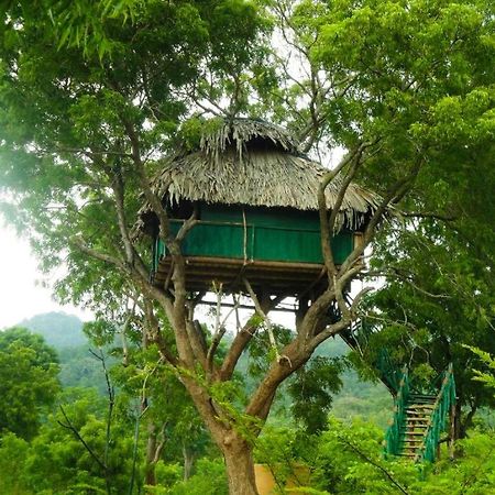 Отель Yala Beddegama Eco Катарагама Экстерьер фото