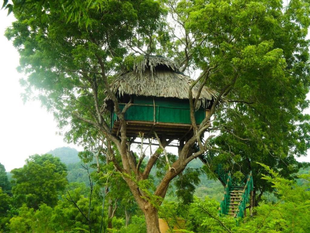 Отель Yala Beddegama Eco Катарагама Экстерьер фото