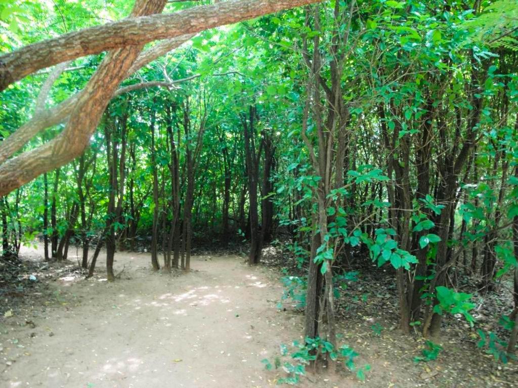 Отель Yala Beddegama Eco Катарагама Экстерьер фото