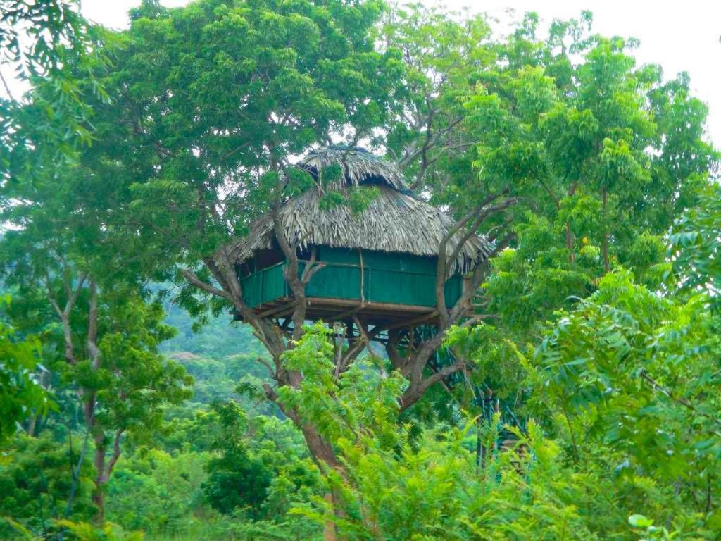 Отель Yala Beddegama Eco Катарагама Экстерьер фото