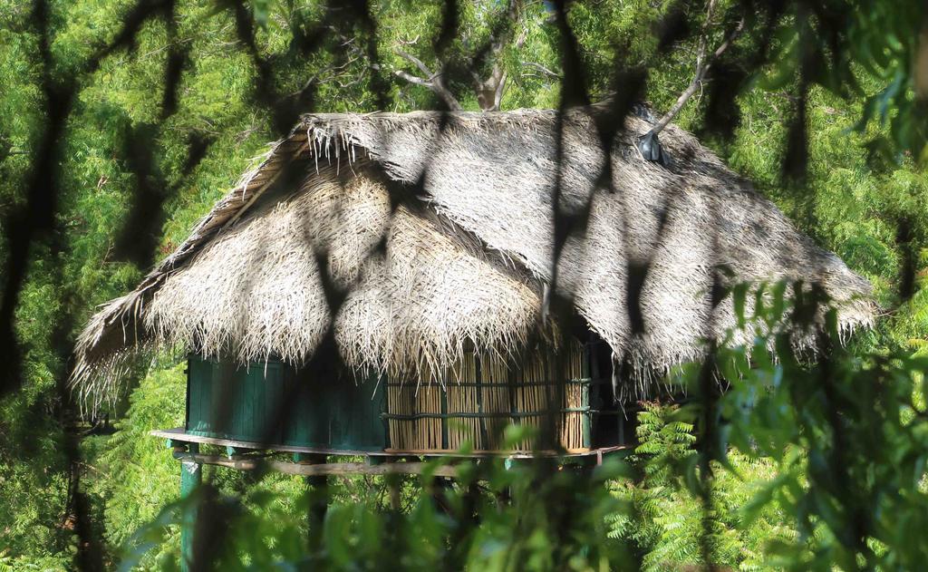 Отель Yala Beddegama Eco Катарагама Экстерьер фото