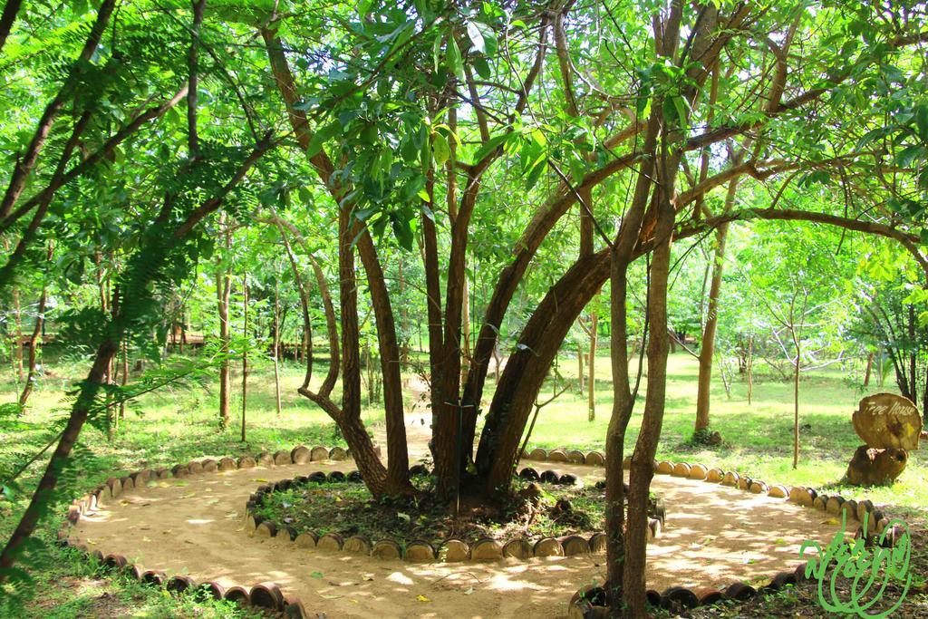 Отель Yala Beddegama Eco Катарагама Экстерьер фото