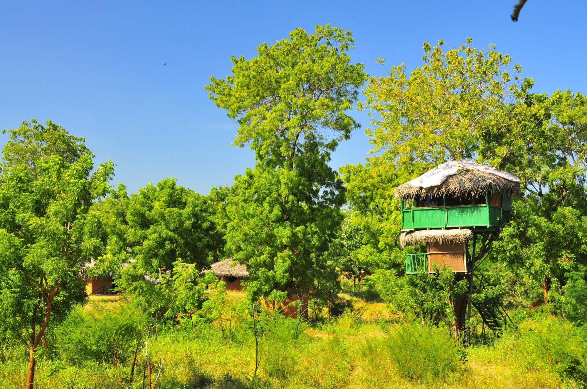 Отель Yala Beddegama Eco Катарагама Экстерьер фото