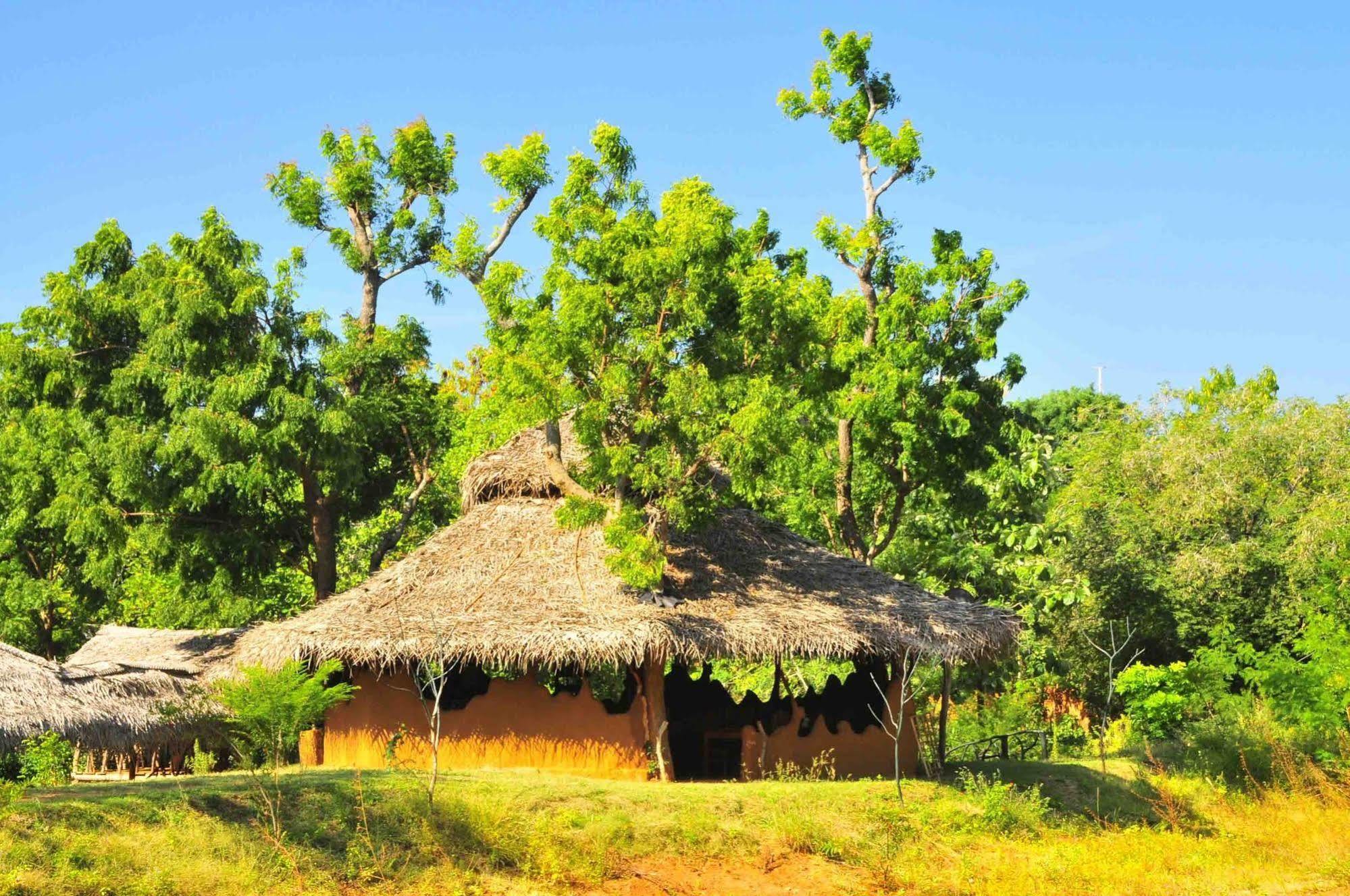 Отель Yala Beddegama Eco Катарагама Экстерьер фото